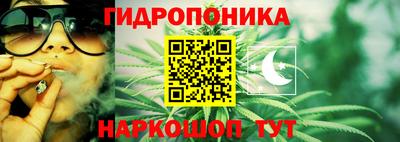 соль ск Свободный